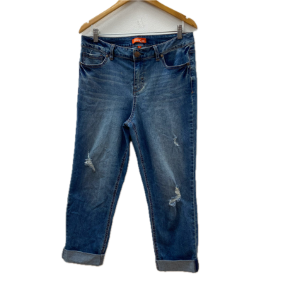 Astor Denim Womens Size 13 Distressed Jeans Blue 