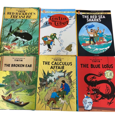 The Adventures of Tintin 23 book lot