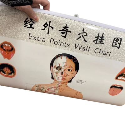 Chinese Acupuncture Wall Chart x 3
