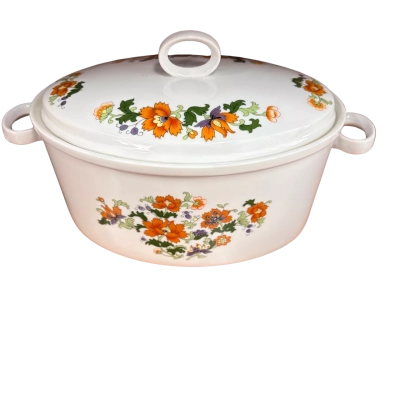 Dolphin Dish Olympus Japan