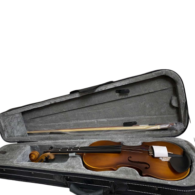 Eastar Violin in hard case with Accessories (new)