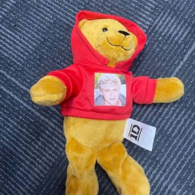 Rare Niall Horan 2012 1 Direction Bear 