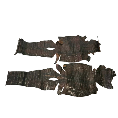 2 Crocodile Skins.