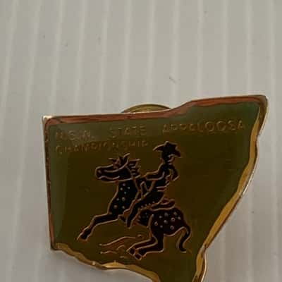 Vintage NSW State Appaloosa Championship Enamel Badge circa 1970s/80s