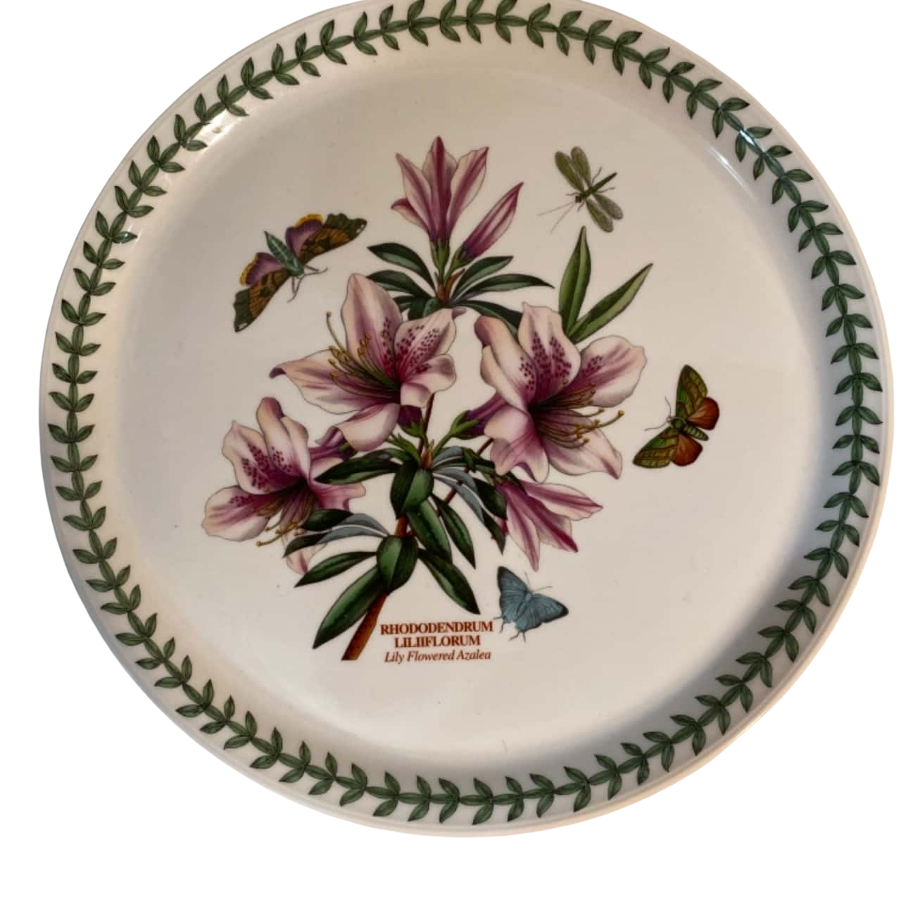 Portmeirion Botanic Garden Dinner Plate Lily Flowered Azalea 10 1/2