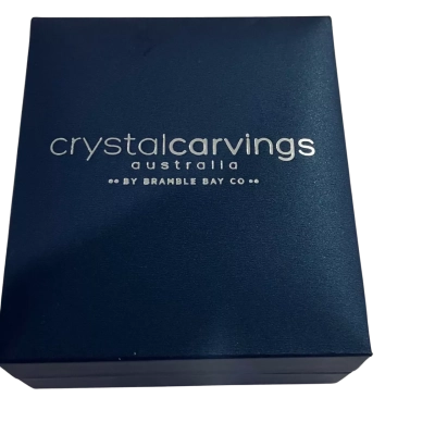 Crystalcarvings Turquoise Howlite  Earrings 