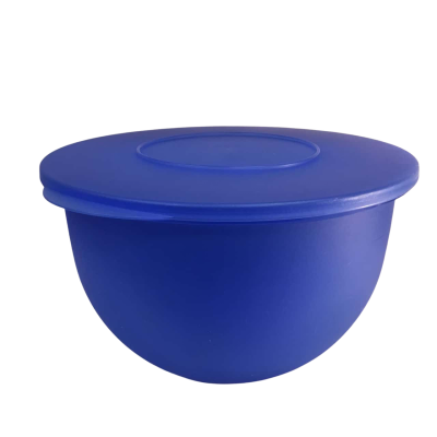 Tupperware Blue Bowl with lid & Strainer