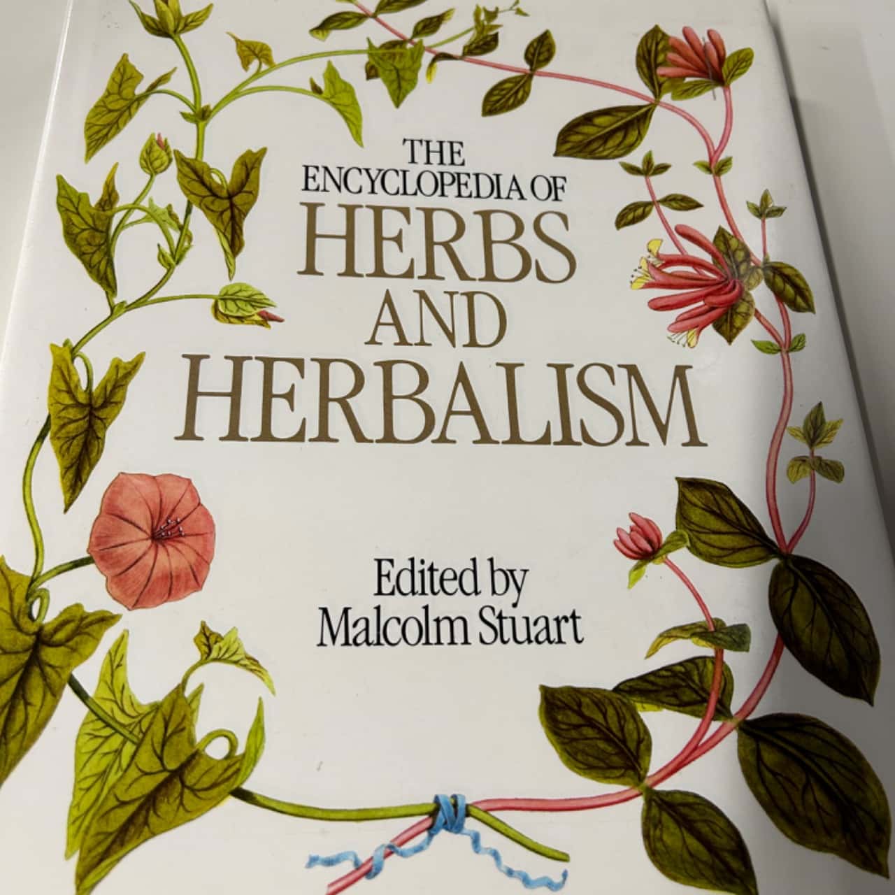 The encyclopedia of Herbs & Herbalism (s)