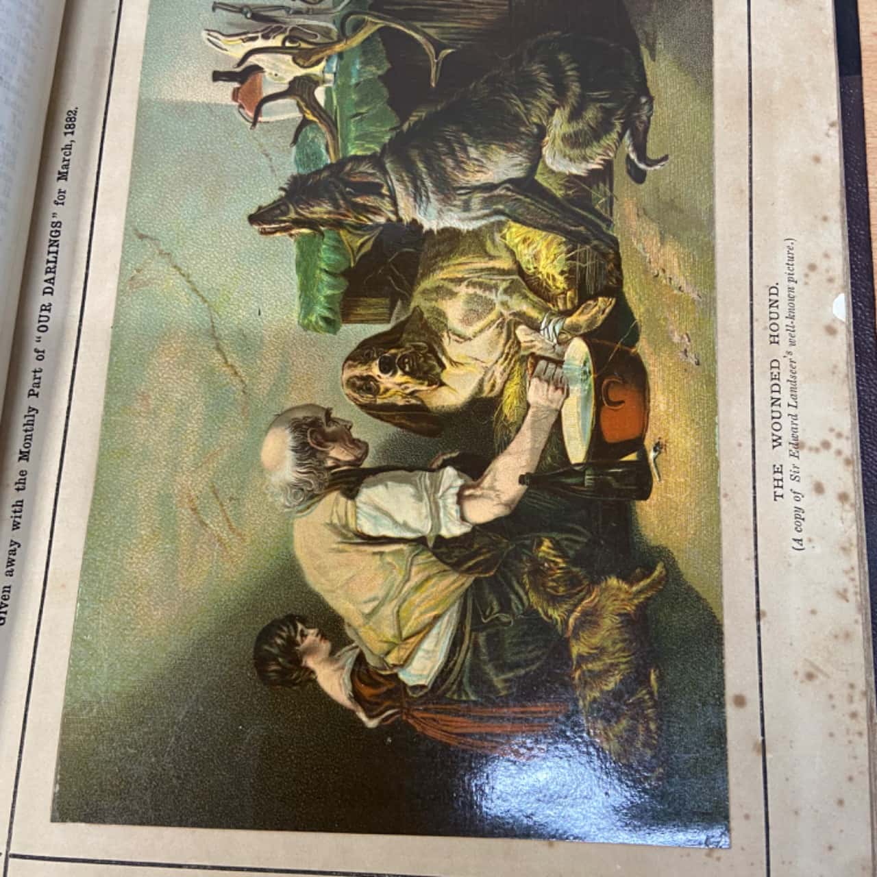 Treasury Collection “Our Darlings” The Children’s Treasury Collection(s) - Used Good ...