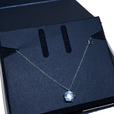 DSE x Swarovski Crystals star necklace.