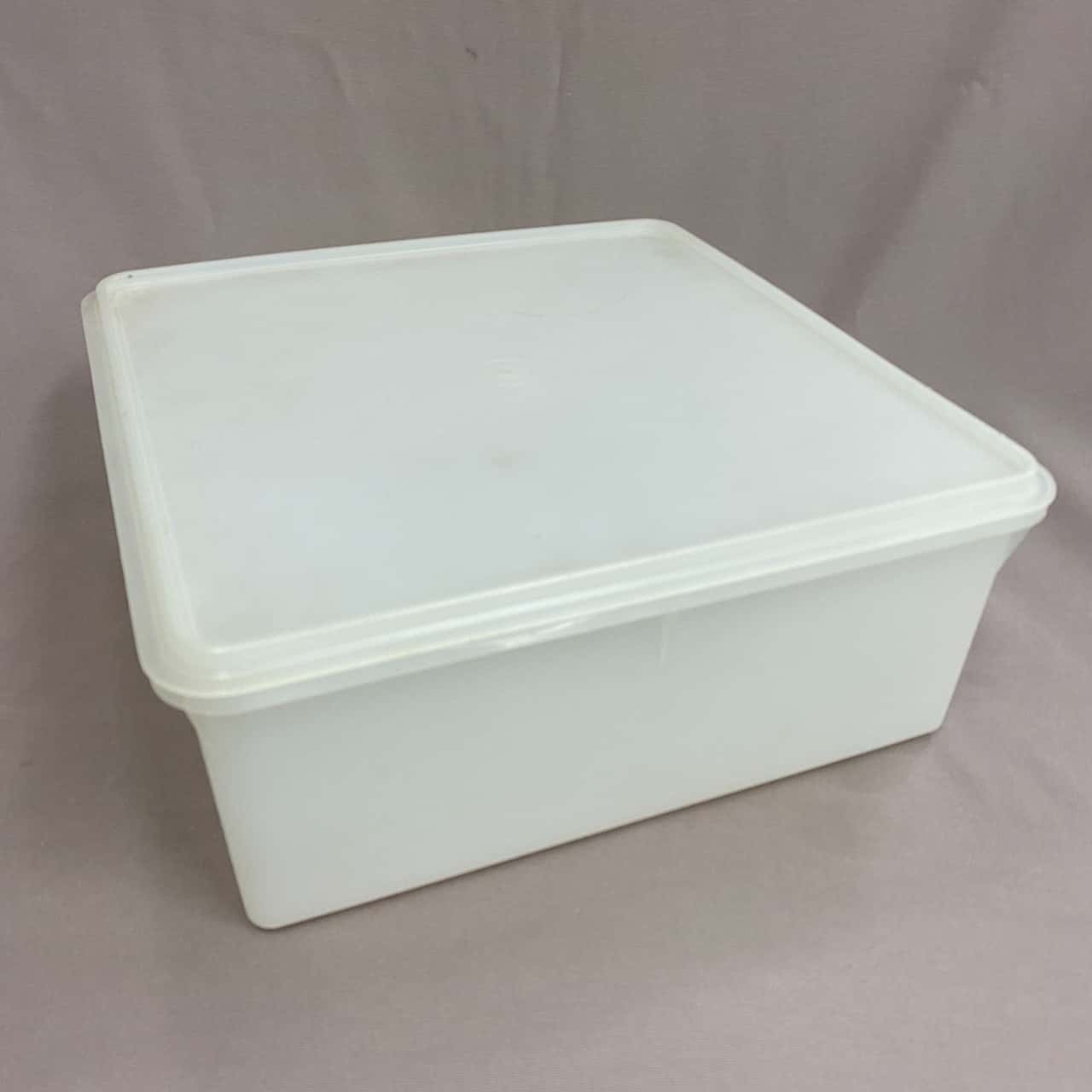 VINTAGE/RETRO Extra Large Square Tupperware Sheer Container(s)