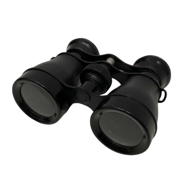 Vintage Opera Viewing Glasses