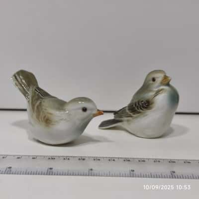 Finch Bird Salt and Pepper Duo Set 