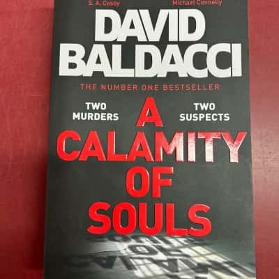 David Baldacci, A Calamity of souls 
