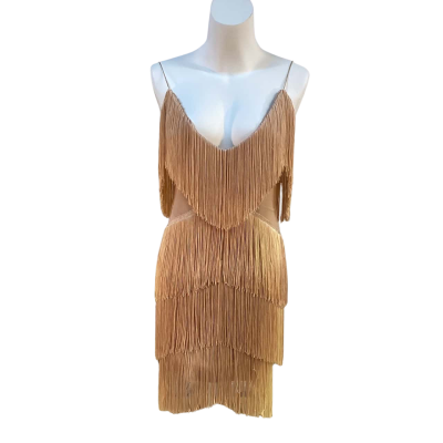 Meshki Womens Size XS Fringe Mini Dress Nude BNWT