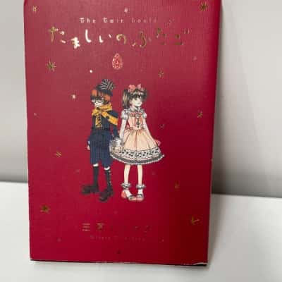 Twin souls Tamashii no futago vol 2 book