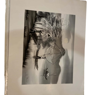 Traditional Vietnamese Silk Painting 