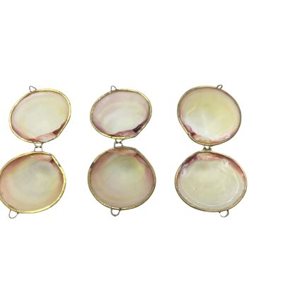 Three Vintage Clam Shell Coin Purses/Trinket Box