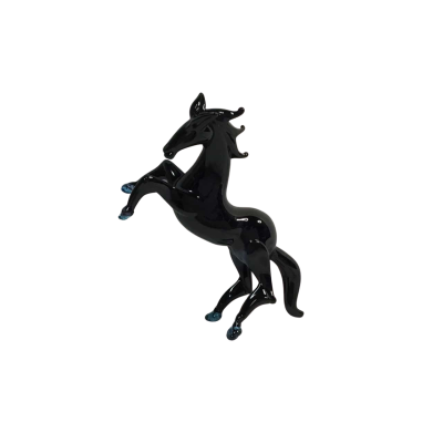 Black Glass Horse