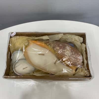 Handmade Coconut/Lime Candle in Large Shell 