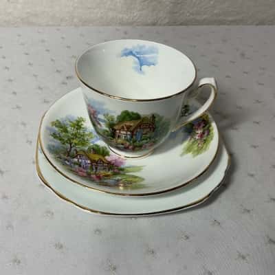 Vintage Duchess Cottage Garden Pattern Bone China Cup Saucer & Plate