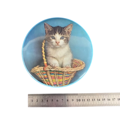 Tin - Kitten