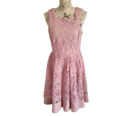 Miss Anne Womens  Size 14 Formal Dress Pink Lace BNWT