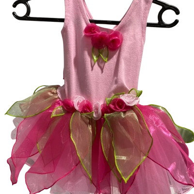 Baby Size 00 Dress Green / Pink  Fairy dress 