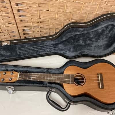 Tanglewood Union Series TU3 concert ukulele in a hardshell case instrument school band 
