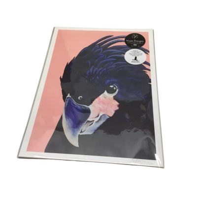 Limited Edition Of 50 ‘Alva’ Black Cockatoo Print By Heylie Morris - Hand-numbered & Signed By Artist