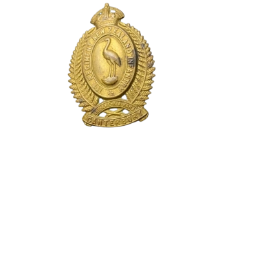 WW1 Brass 1St Canterbury Regiment Cap Badge 