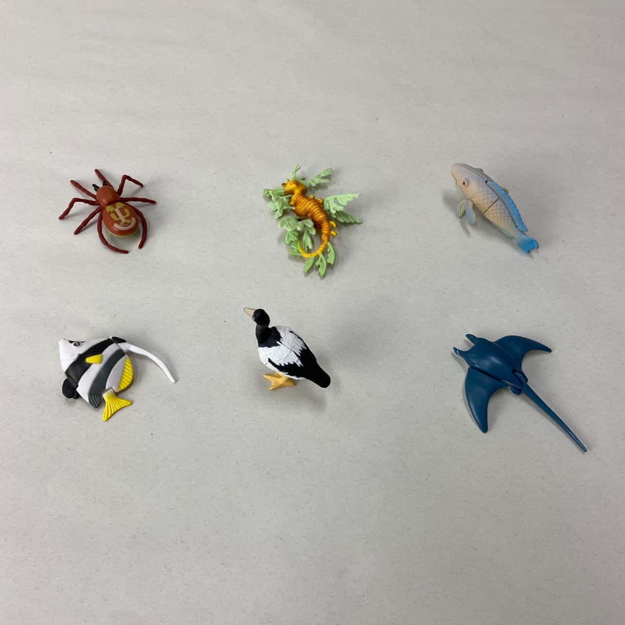 Image Tester