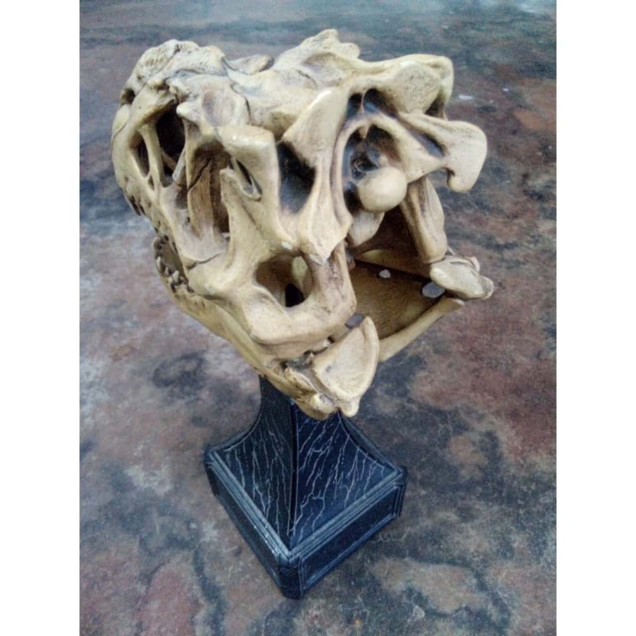 Kong V-Rex Skull Weta Collectables 194/4000(s) - Used Good