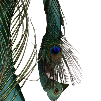 2 Peacocks with Real Peacock feathers