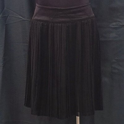 **REDUCED ***  ZACPOSEN Black Pleated Skirt